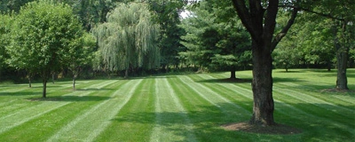 Lawn Care